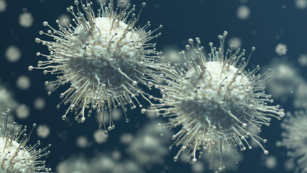 An illustration of flu spores