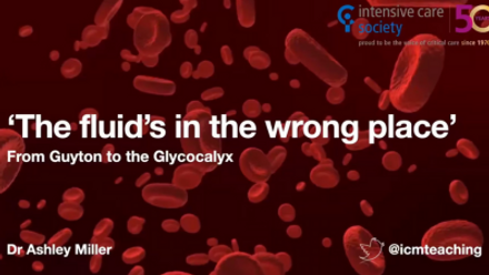 Wrong Fluid.png