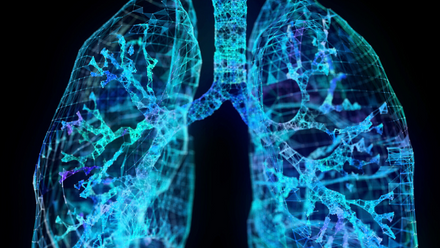 A blue outline of a pair of lungs against a black background 