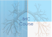 BriC Course logo