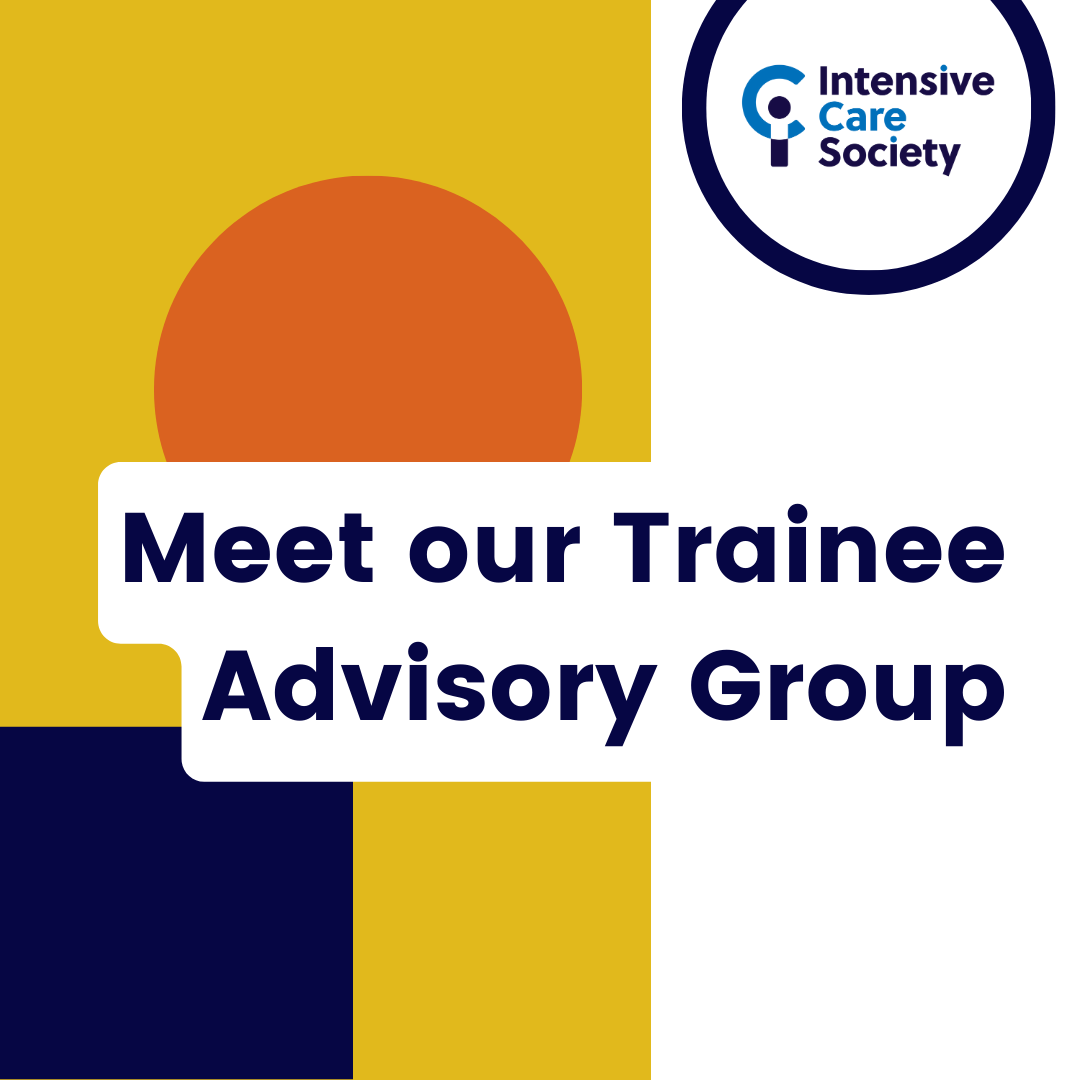 A square image with a yellow rectangle, navy square and orange circle, and navy text which says "Meet our Trainee Advisory Group"