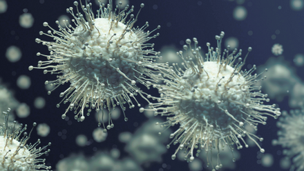 An illustration of flu spores